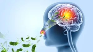 India declara emergencia por brote letal de ameba “comecerebros”