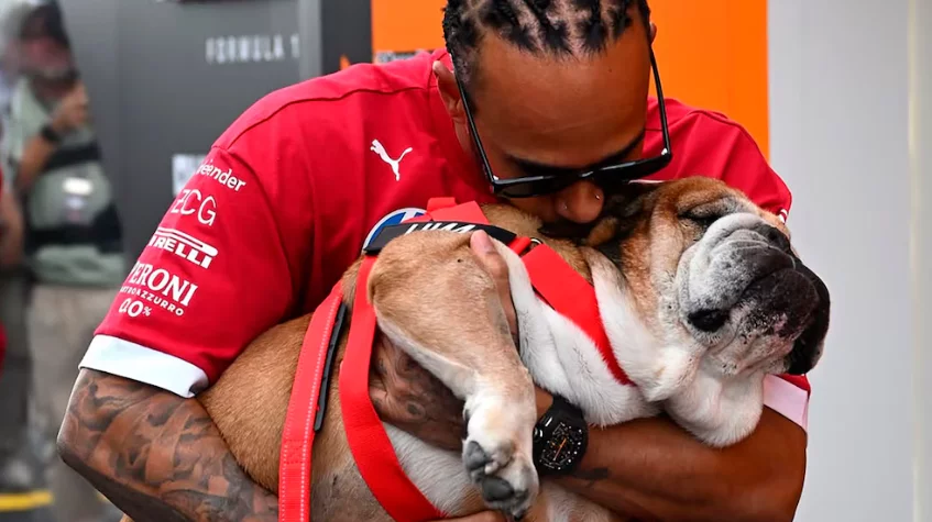 Lewis Hamilton lamenta muerte de su perro: "Roscoe para siempre"