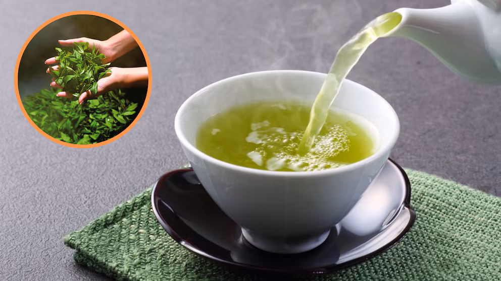 Té de ortiga, la infusión que gana popularidad por sus beneficios