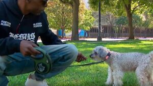 Hombre se reencuentra con su perro perdido tras 10 años gracias a la tecnología