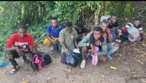 Ejército captura a ocho nacionales haitianos escondidos entre un platanal en Valverde