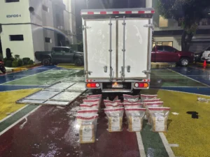 Operativo en Pedro Brand: 85 paquetes de presunta cocaína incautados en camión