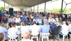 Agricultura activa recuperación de la producción arrocera; rehabilitarán caminos dañados en zonas del Nordeste
