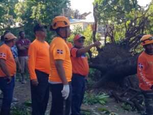 Defensa Civil responde a situaciones tras ventarrón en Valverde