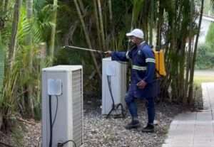 Expertos alertan sobre riesgos sanitarios tras lluvias y recomiendan fumigación responsable